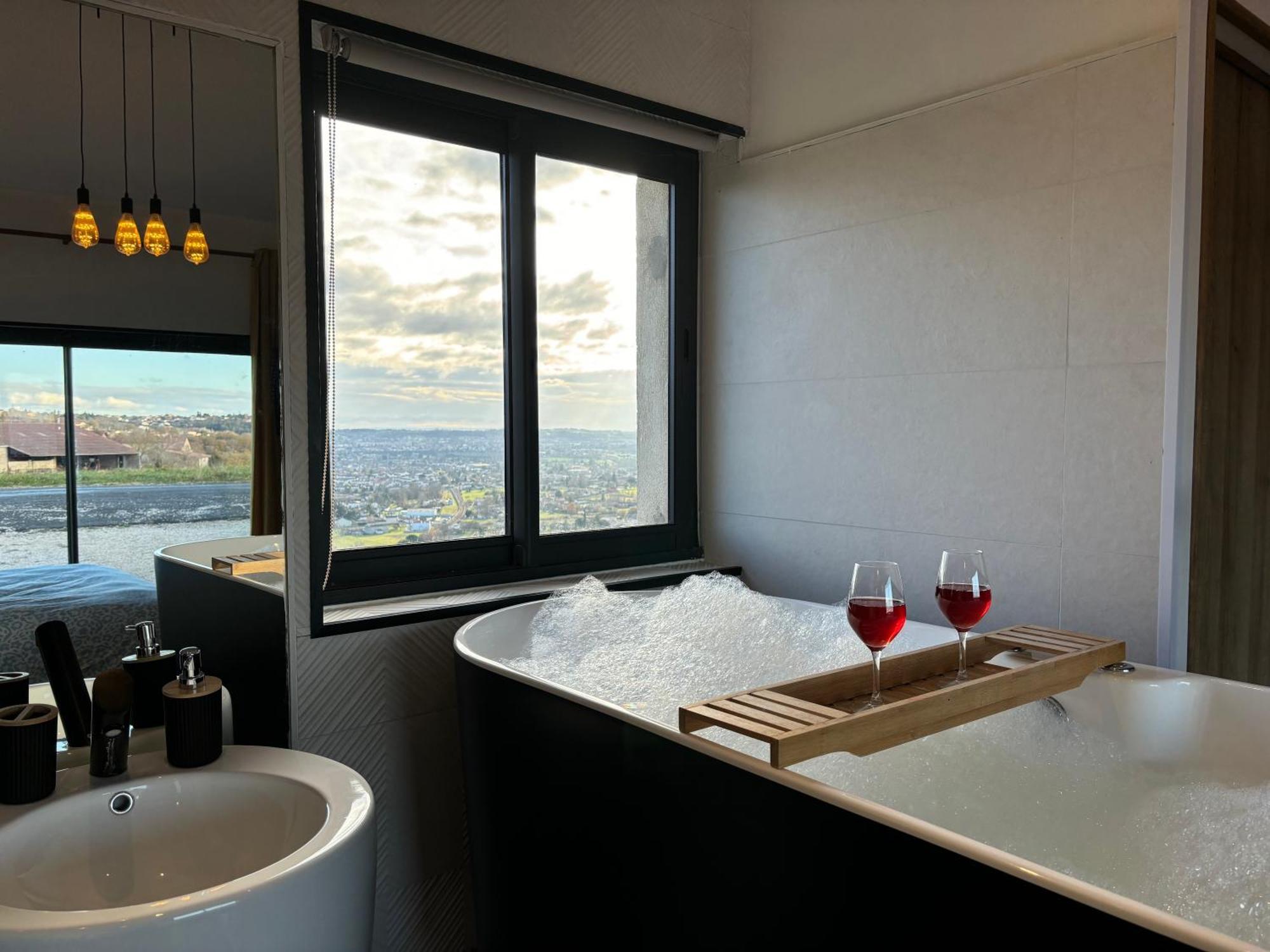 L'evasion D'albi - Balneo Et Vue Apartment